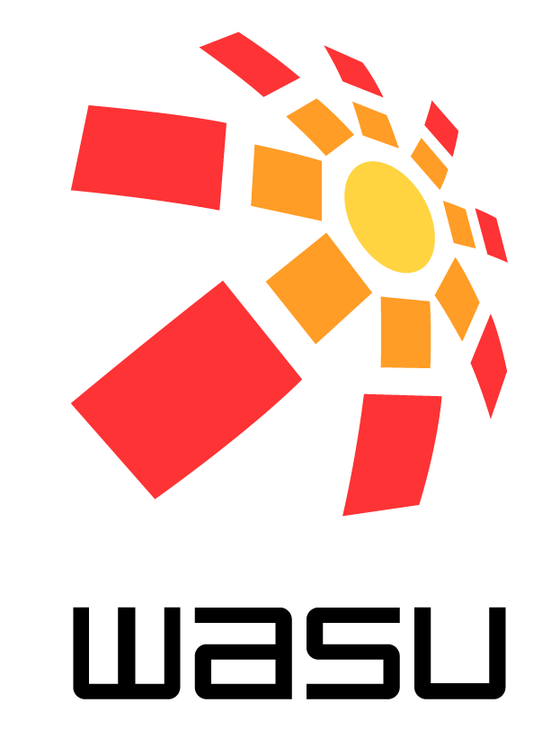 华数